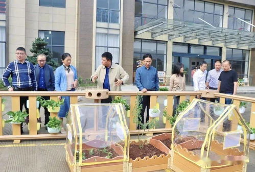 貝瑪教育 麗水市學前教育專家實地參觀指導，共促教育發(fā)展